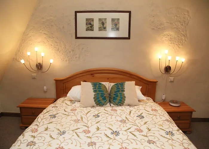 فندق سانت بيتر البوتيكي ريغا